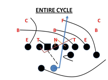 BL-Cycle